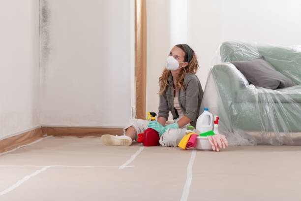 Reliable Hvac And Air Duct Mold Remediation contractor in Saugatuck, MI by 24 Hour Mold Removal